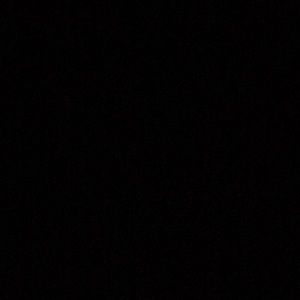 Meet your Posher, Allie